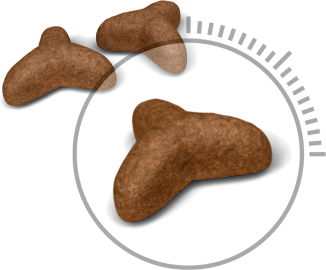 Royal Canin Light Weight Care cibo secco per gatti 400 g Adulto