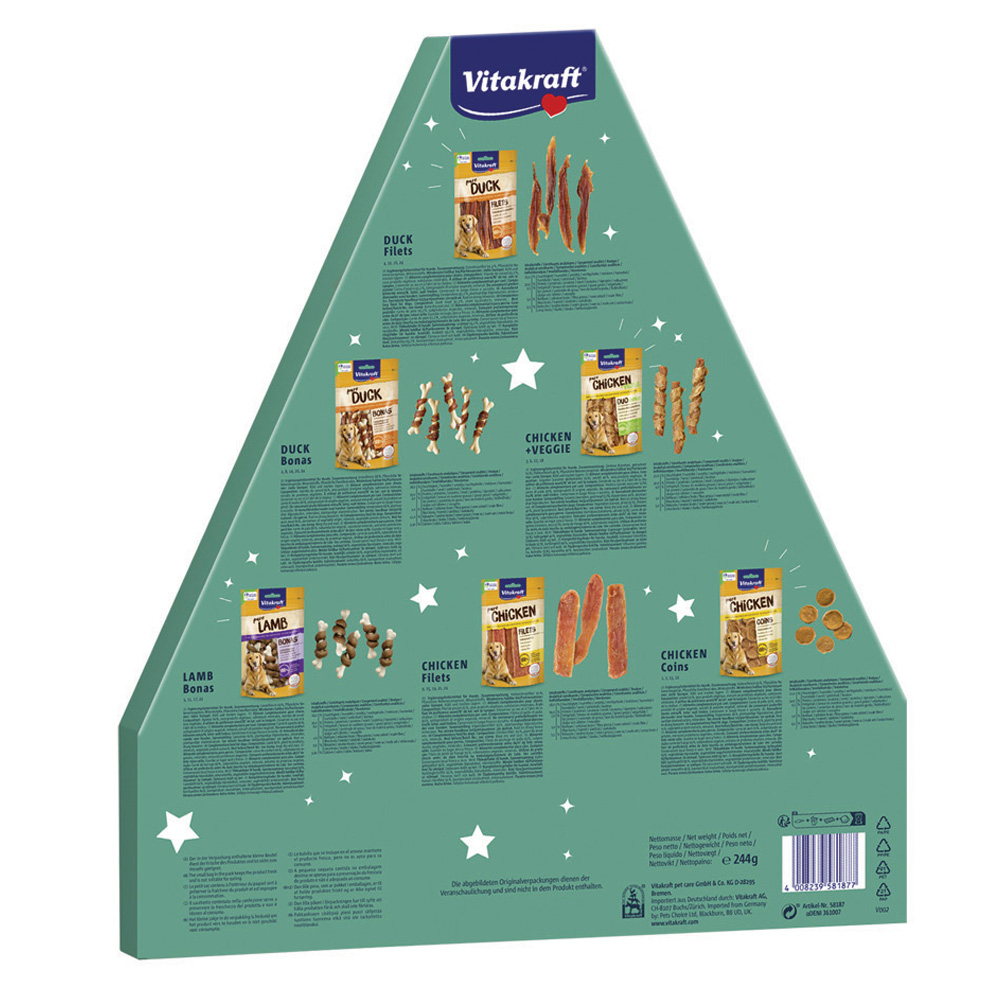 Calendario Avvento cane