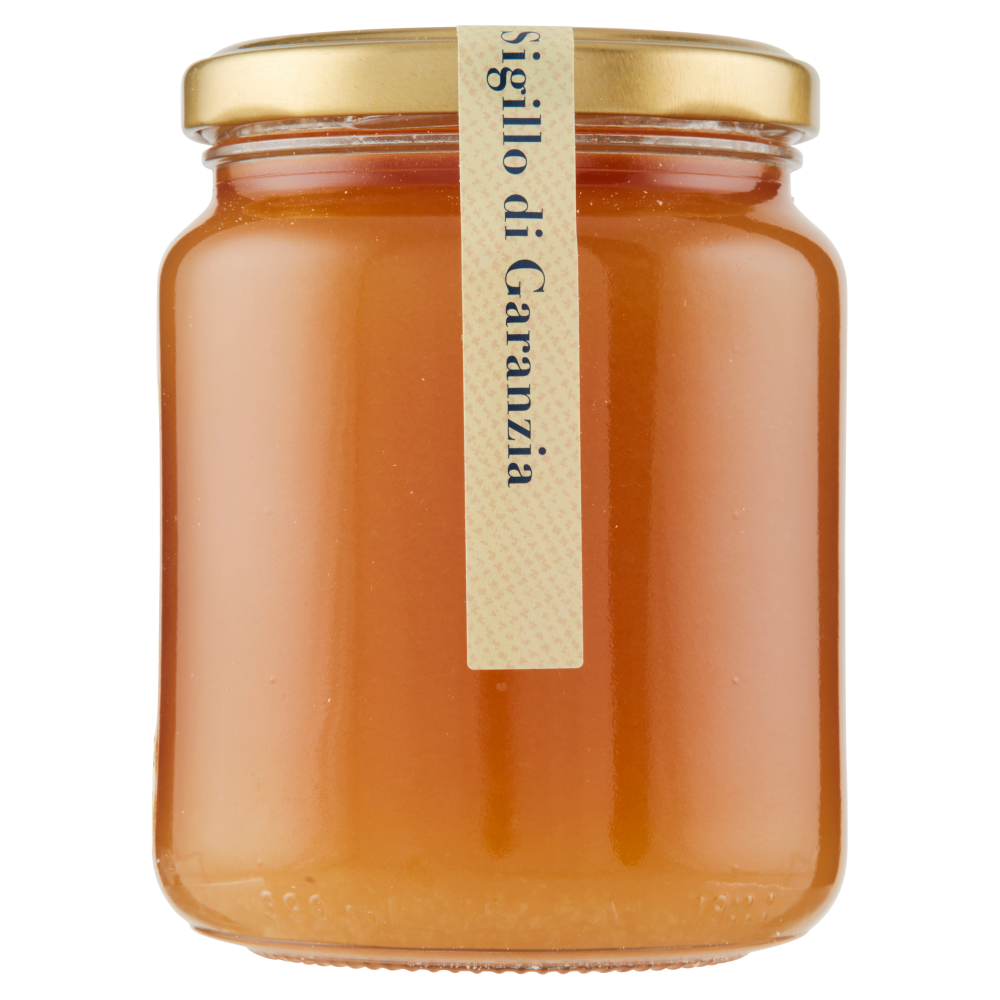 Terre d'Italia Miele Millefiori d'Umbria 500 g