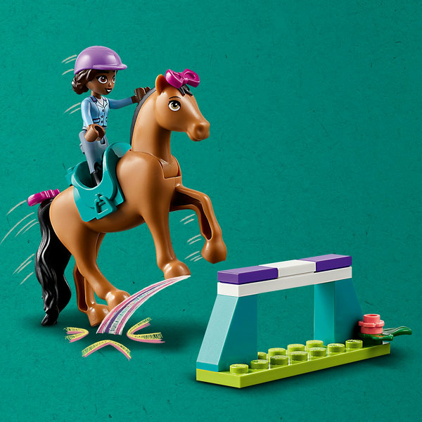 LEGO Friends Addestramento equestre