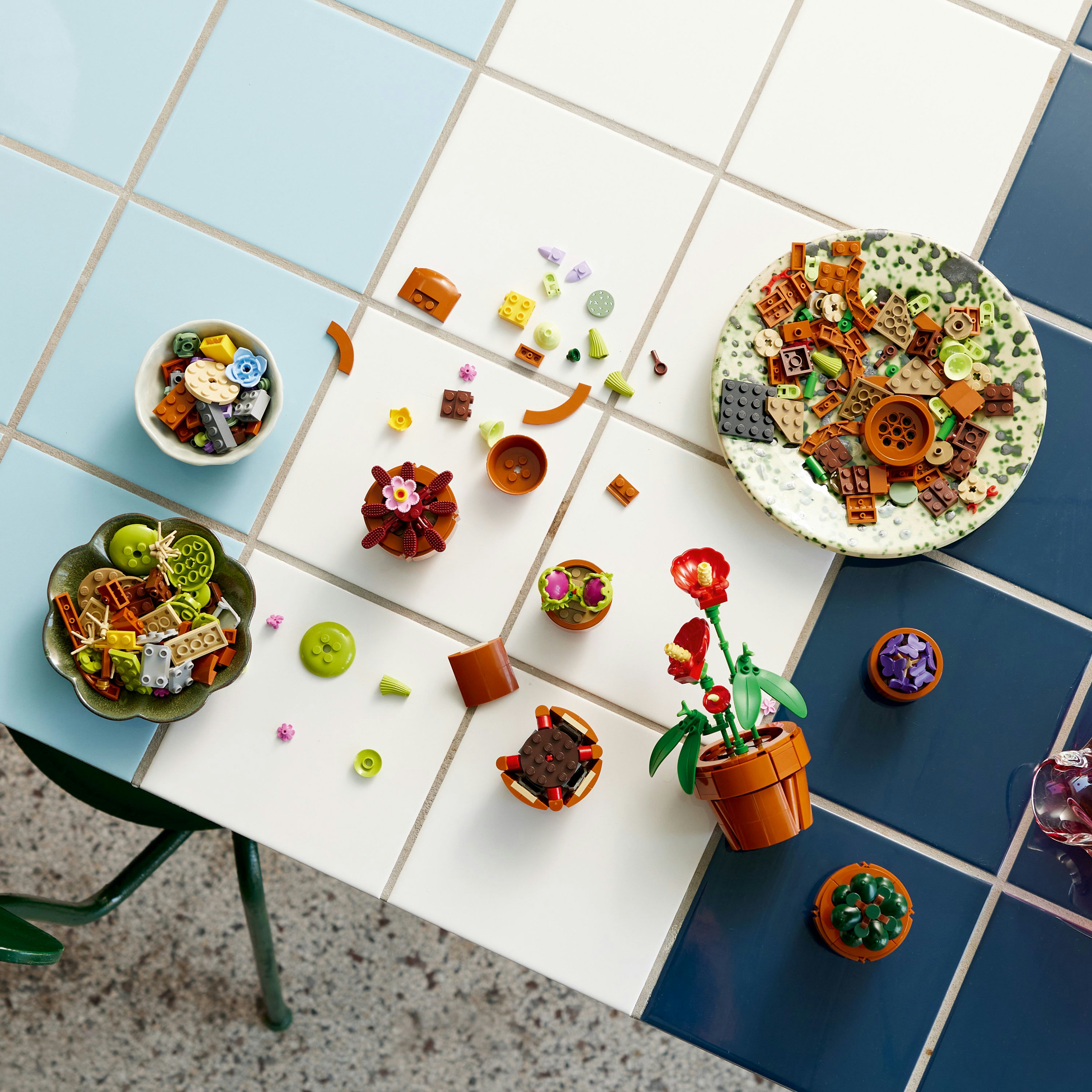 LEGO Botanicals Piantine