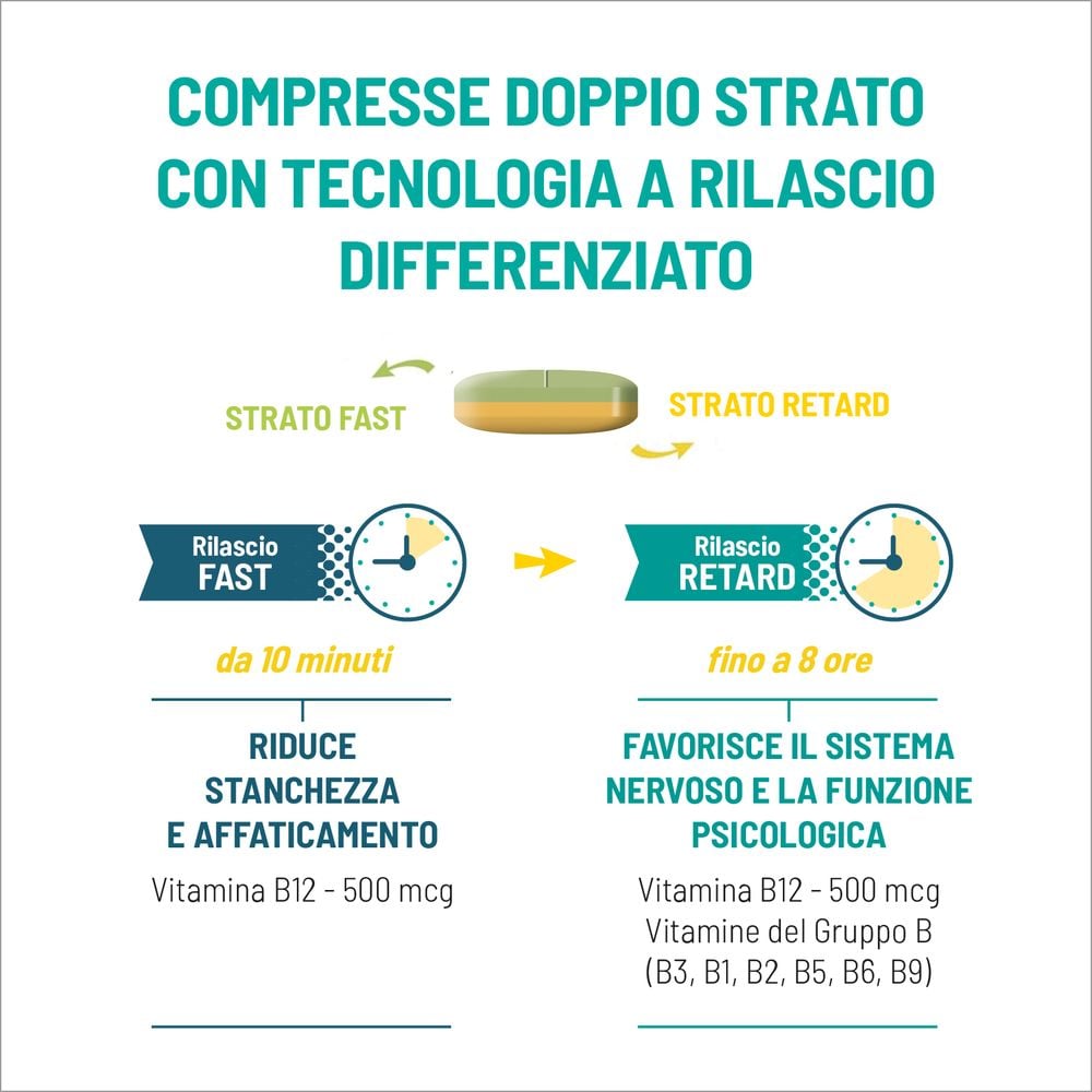 Equilibra Gruppo B Compresse Doppio Strato 30 x 1 g