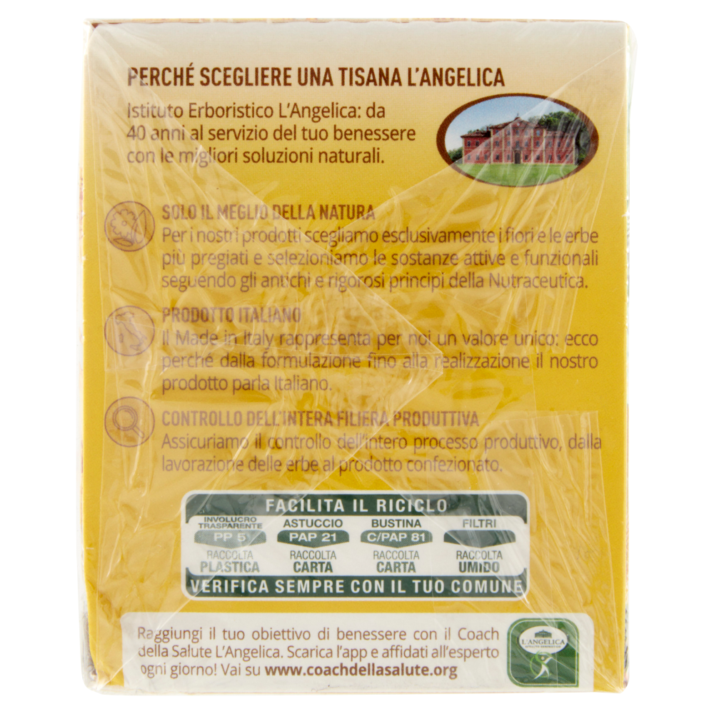 L'Angelica Mocktail Infusioni a Freddo Ananas & Cocco Pi&ntilde;a Colada Infusion 18 Filtri 36 g