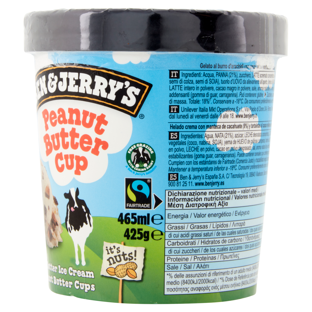 Ben & Jerry's Peanut Butter Cup 425 g