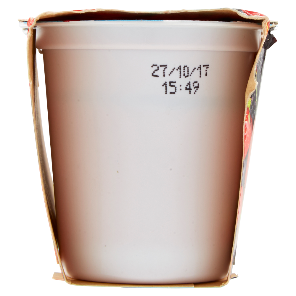 latte tigullio Yogurt Intero Frutti di Bosco 2 x 125 g