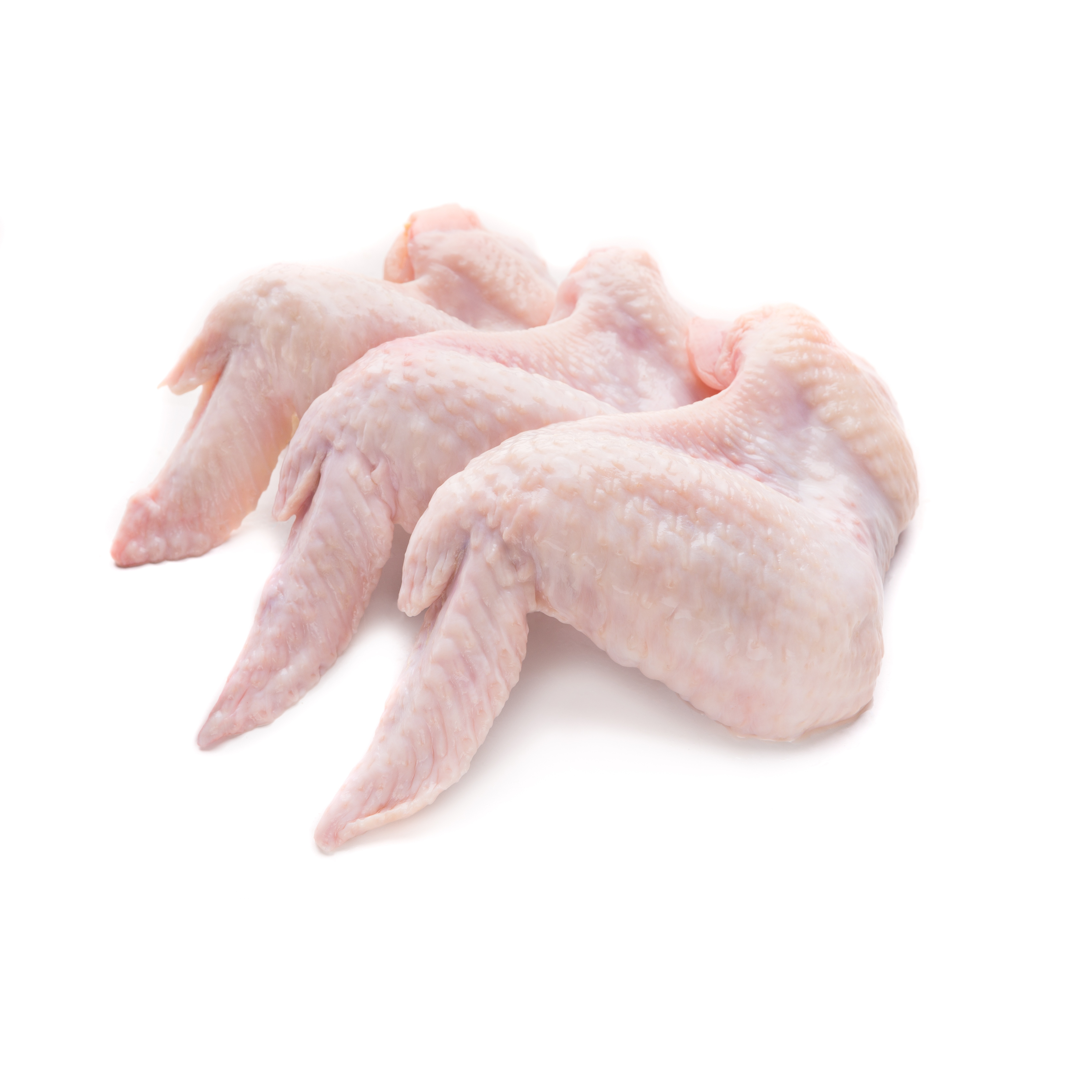 Ali di Pollo Halal Non Separate