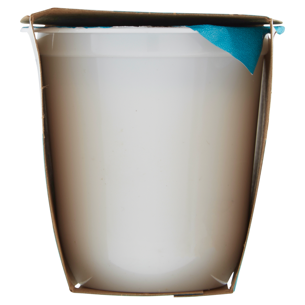 Granarolo 100% Vegetale Fatto con il Cocco Bianco Dolce 2 x 125 g