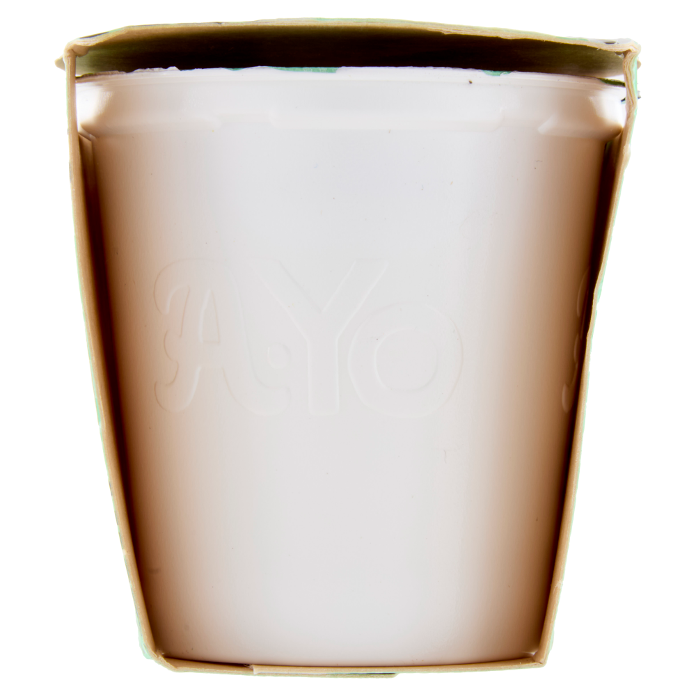 Arborea A-Yo Yogurt Zero Grassi Cocco in Scaglie 2 x 125 g