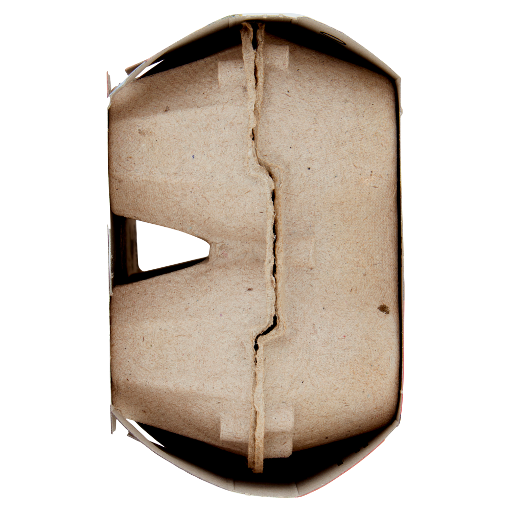 Tedaldi Gran Uovo Italiano da Galline Allevate Senza Antibiotici* 6 Uova 330 g