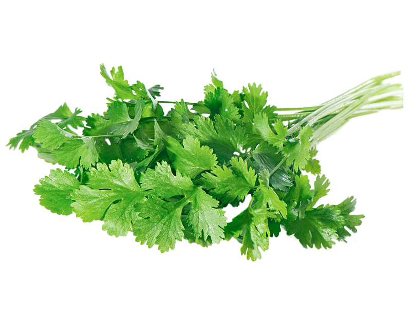 Prezzemolo Sfuso 100 g