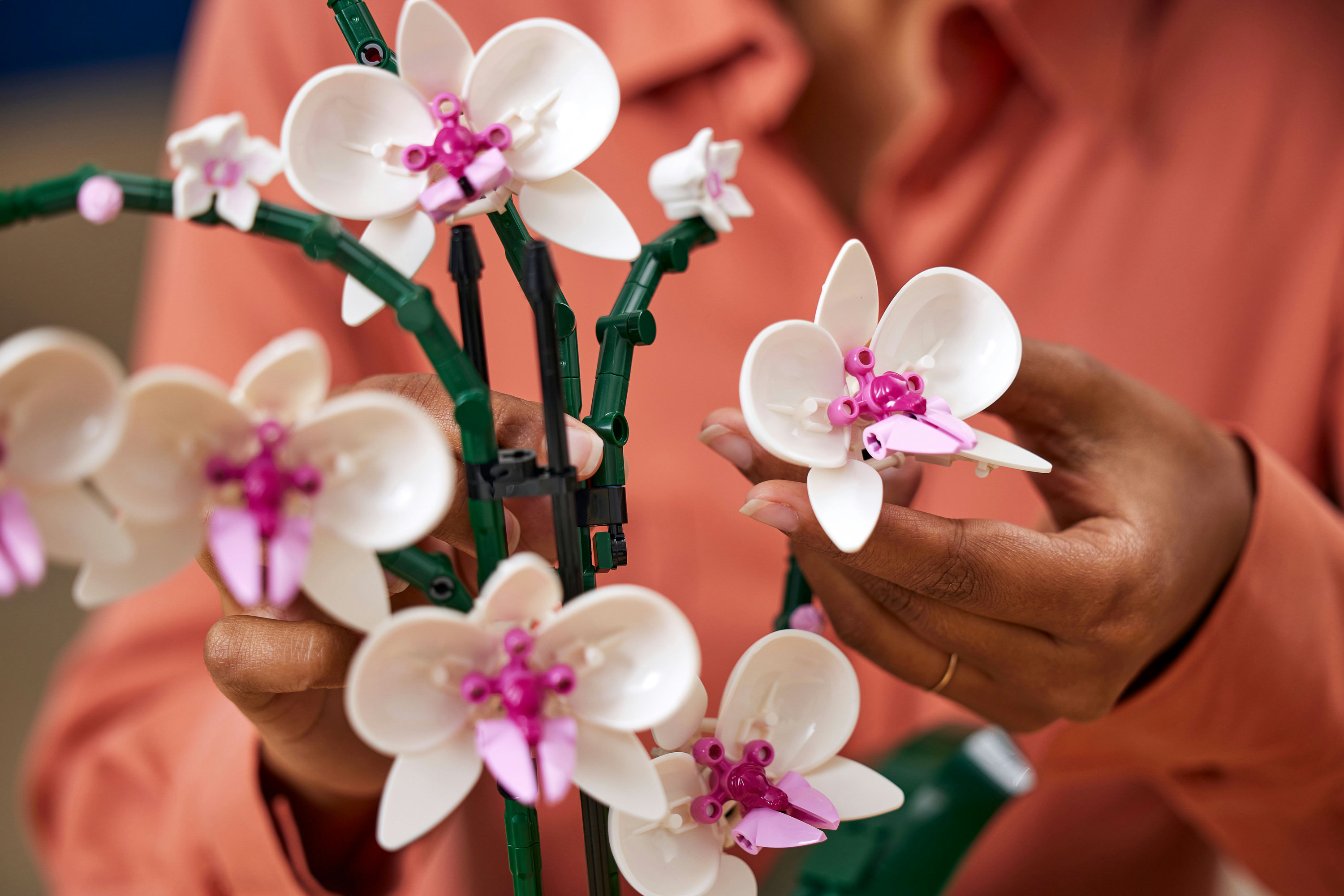 LEGO Botanicals Orchidea