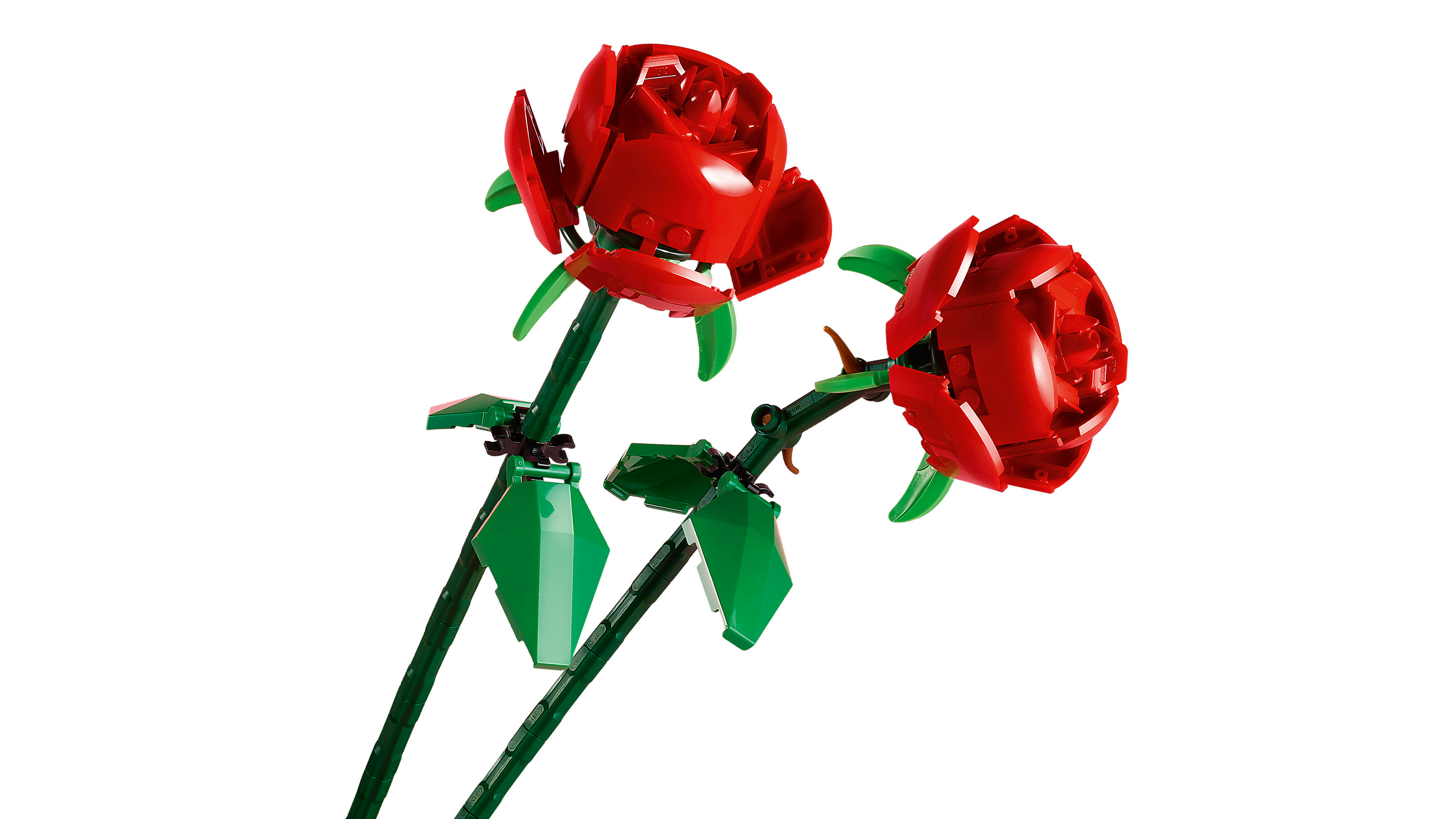 LEGO Botanicals 40460 Rose, Fiori Finti Compatibile con Bouquet di Fiori Artificiali, Regalo Donna, Uomo, Bambine e Bambini 8+