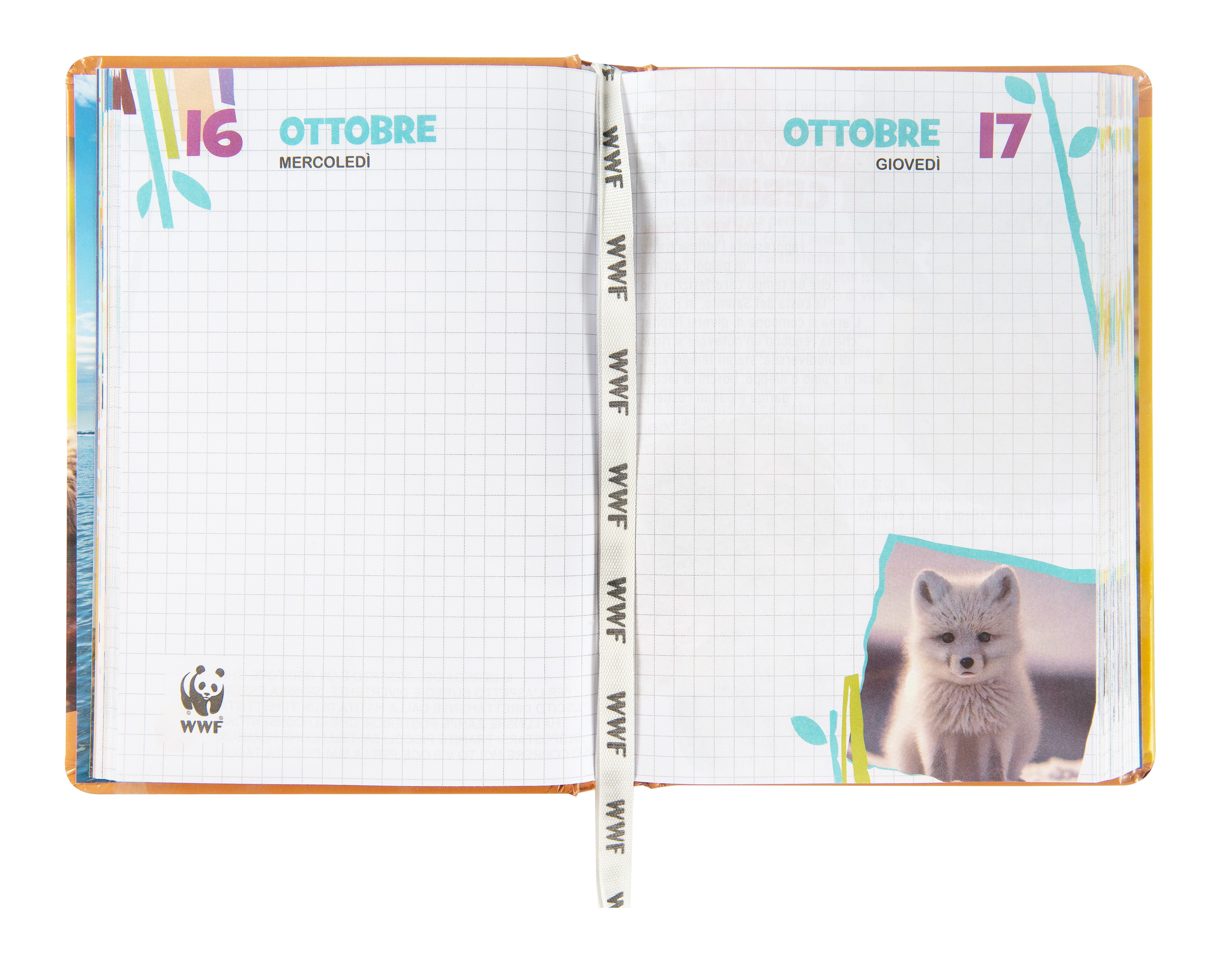 Carrefour 8058263229227 Diario Diario scolastico