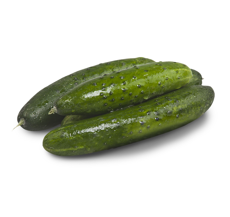 Cetrioli Filiera Qualità Carrefour