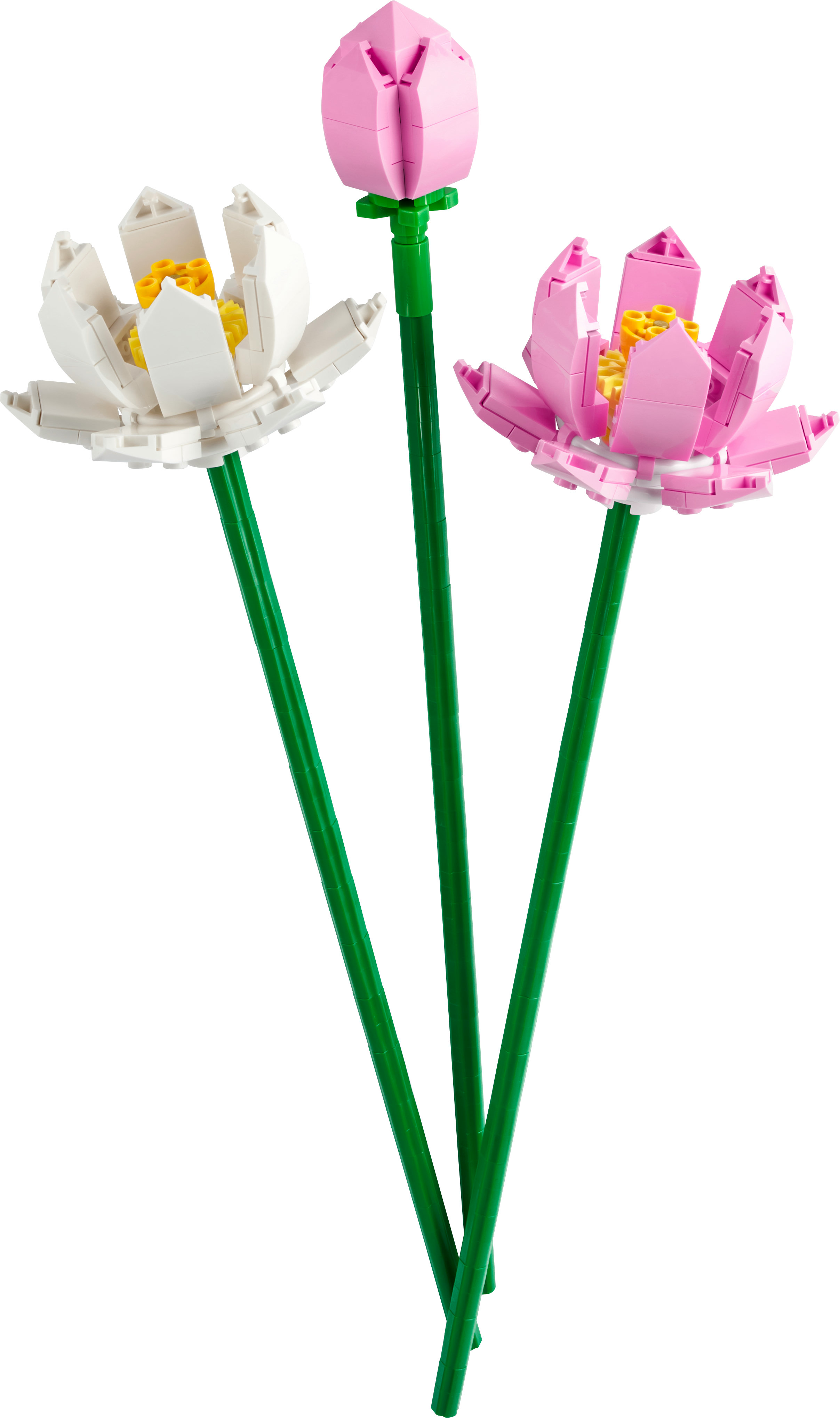 LEGO Botanicals Fiori di loto