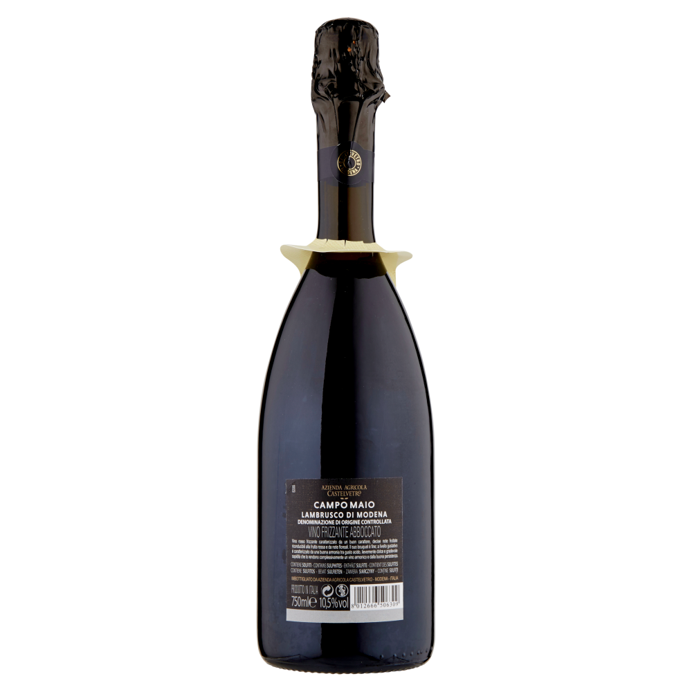 Terre d'Italia Campo Maio Lambrusco di Modena D.O.C. 750 ml