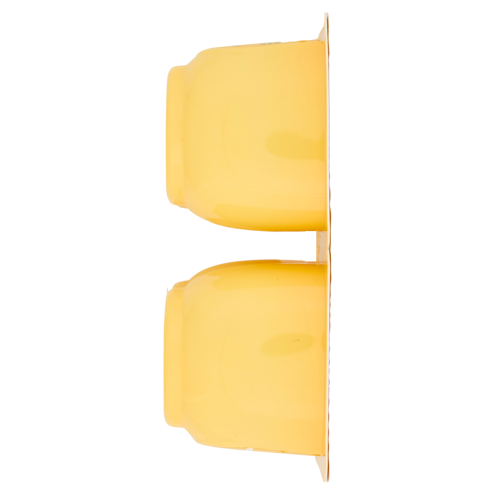 DANETTE  budino gusto vaniglia, fresco dessert, Senza Conservanti, Senza Glutine, 4x125g