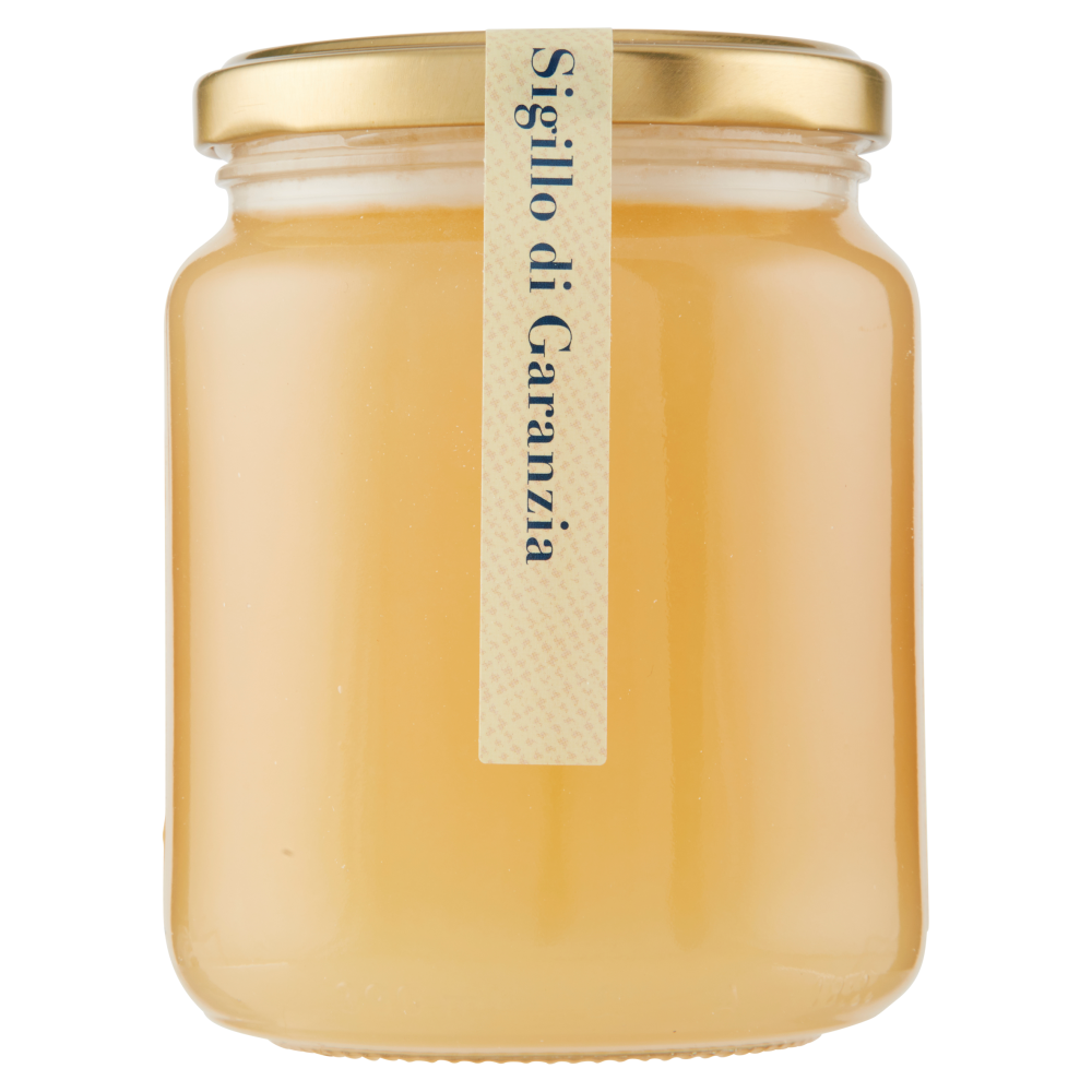 Terre d'Italia Miele di Sulla di Calabria 500 g