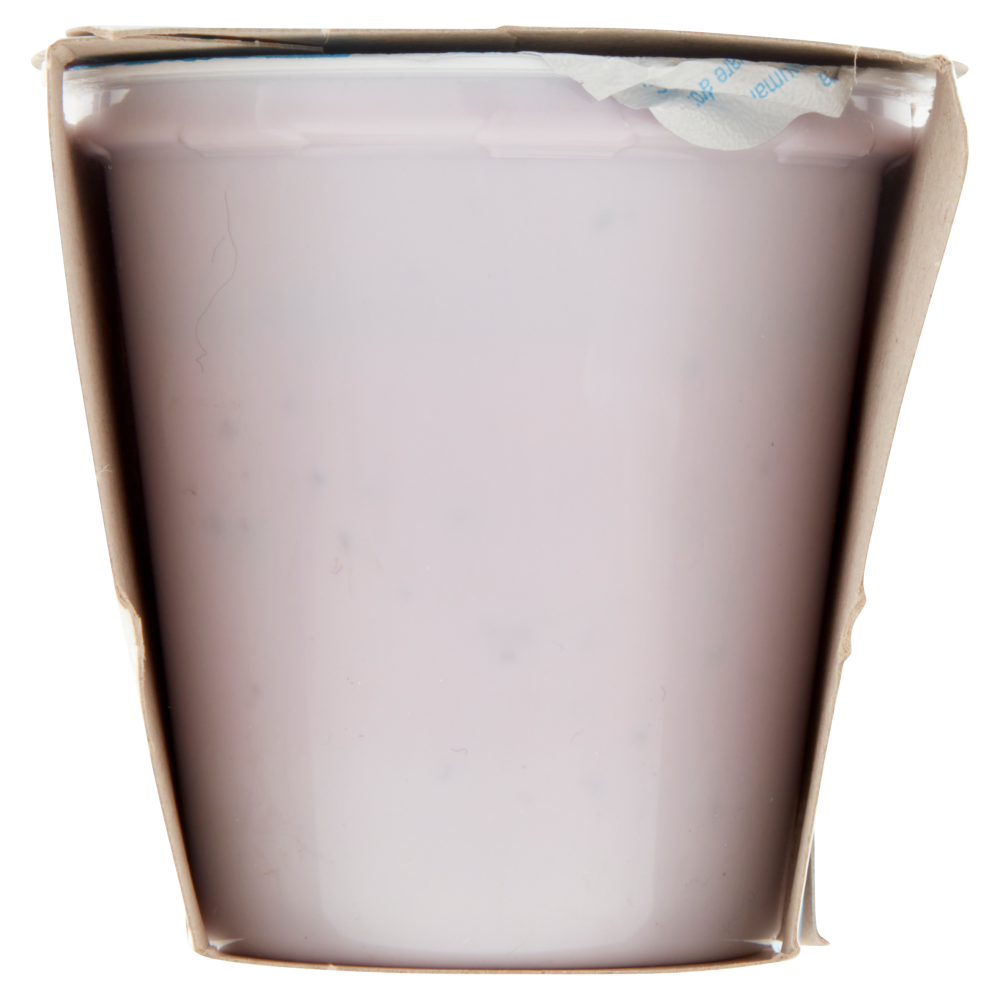 Carrefour Classic Yogurt Magro Mirtillo 2 x 125 g