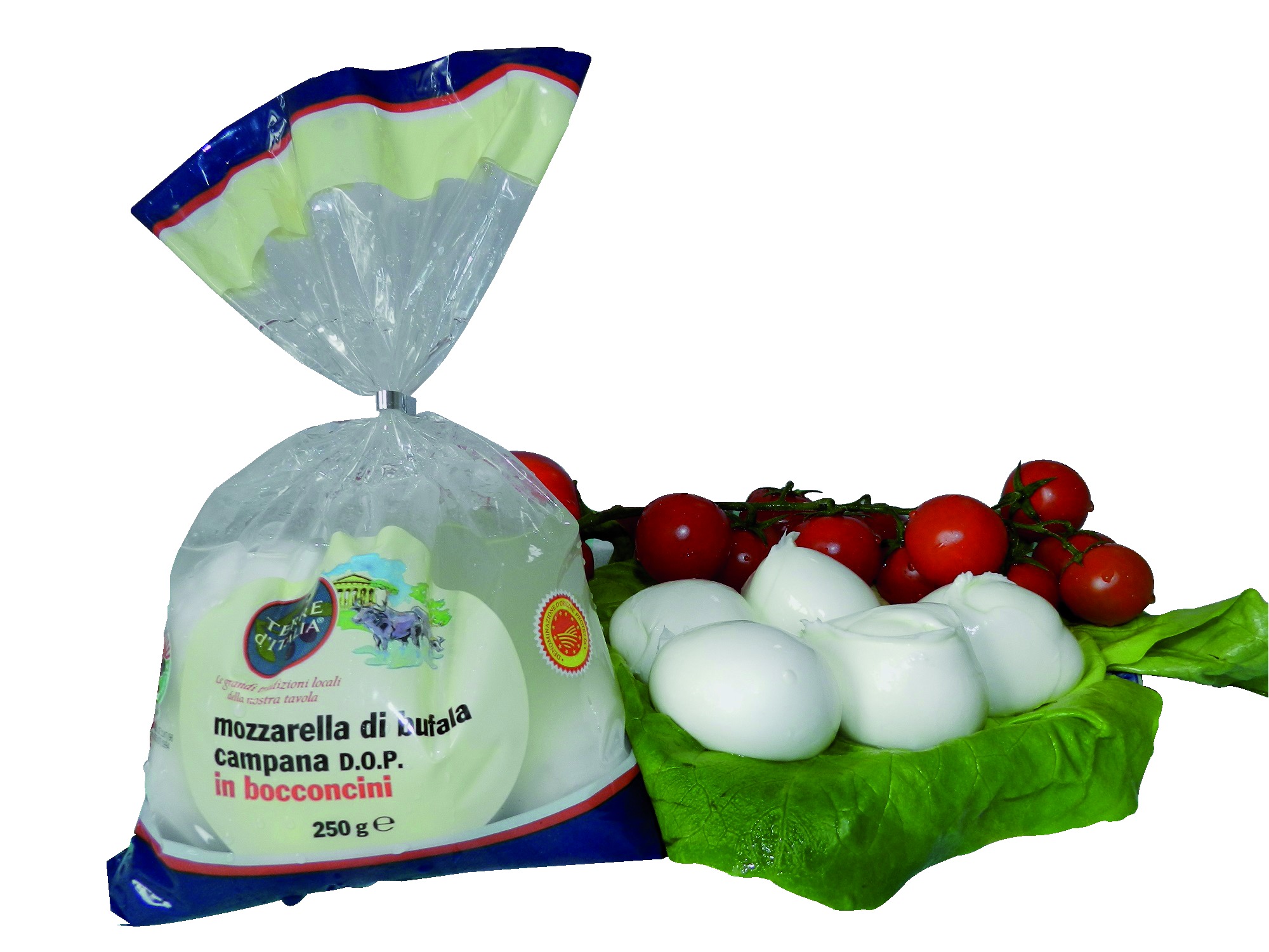 Terre d'Italia Mozzarella di bufala campana DOP in bocconcini 250 g