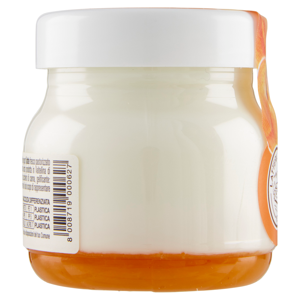 AlpiYò Yogurt di Valtellina Intero con confettura extra di Albicocca 125 g