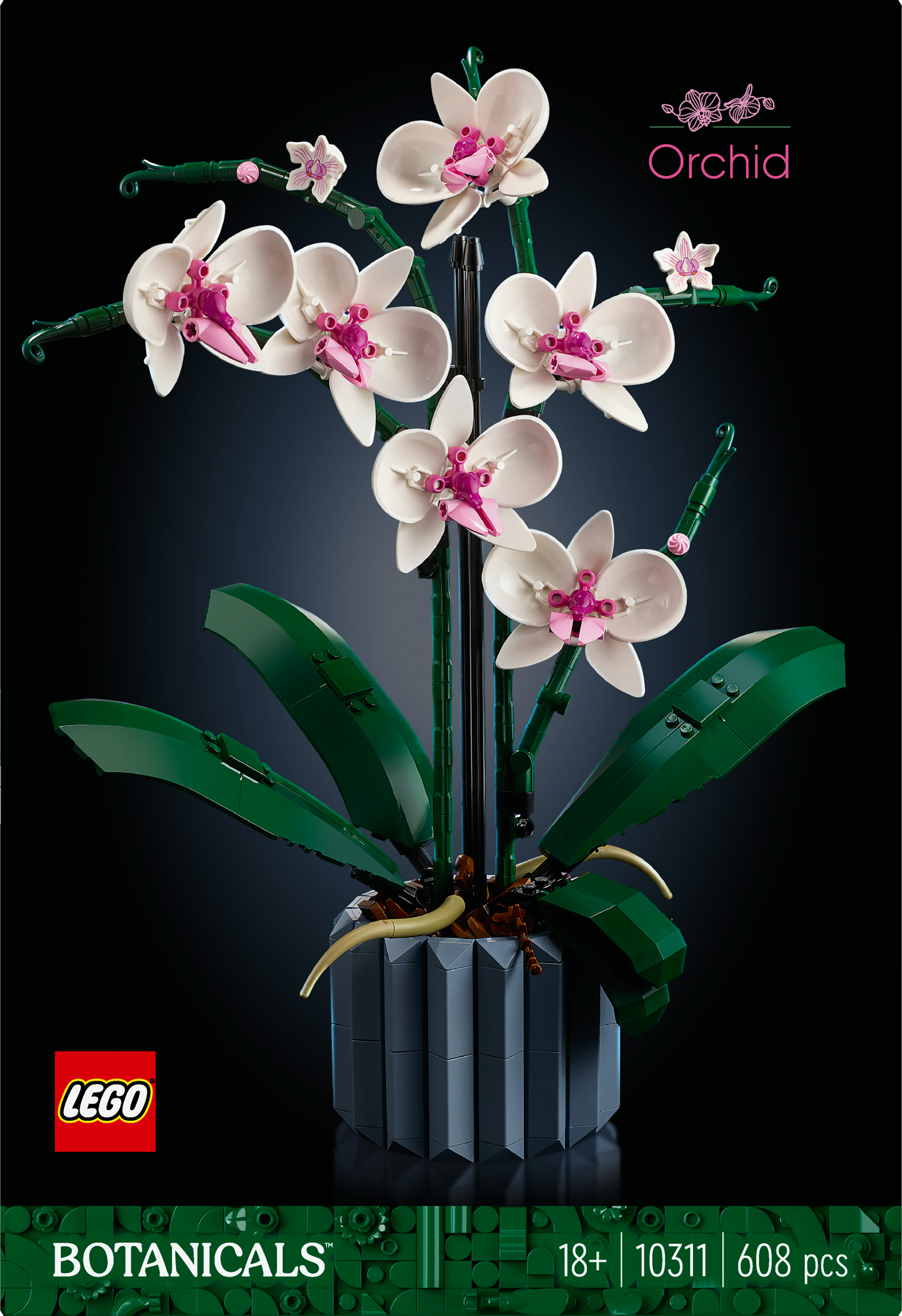 LEGO Botanicals Orchidea
