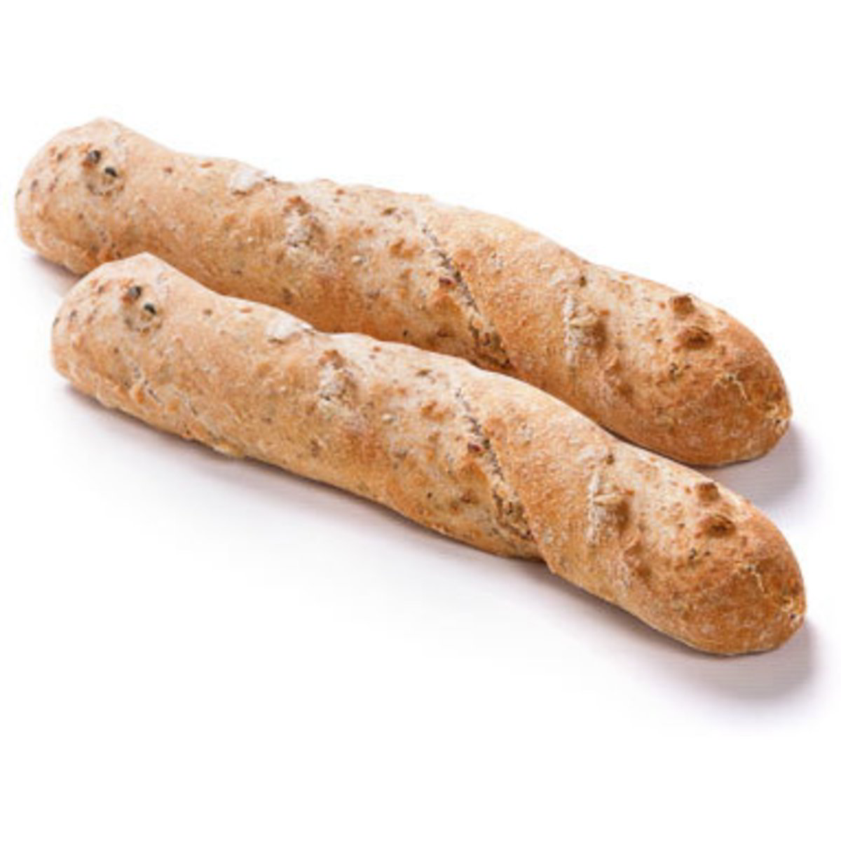 Filoncino alle Noci 100 g