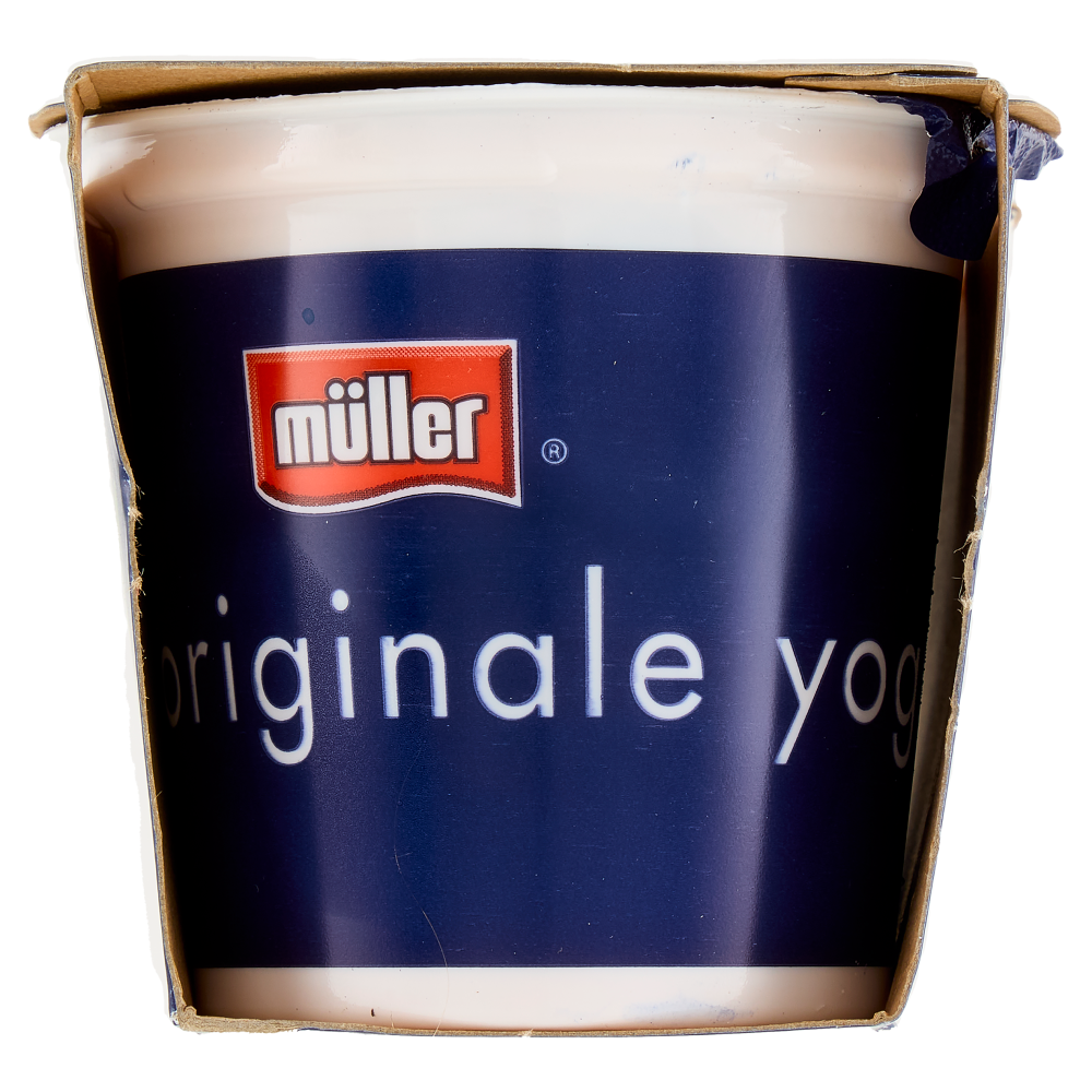 müller Yogurt Cremoso Fragola in Pezzi 2 x 125 g