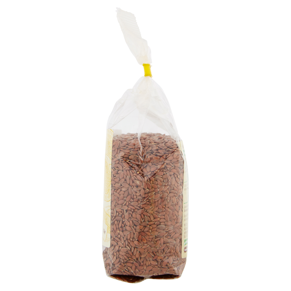 Carrefour Bio Semi di Lino Biologici 250 g