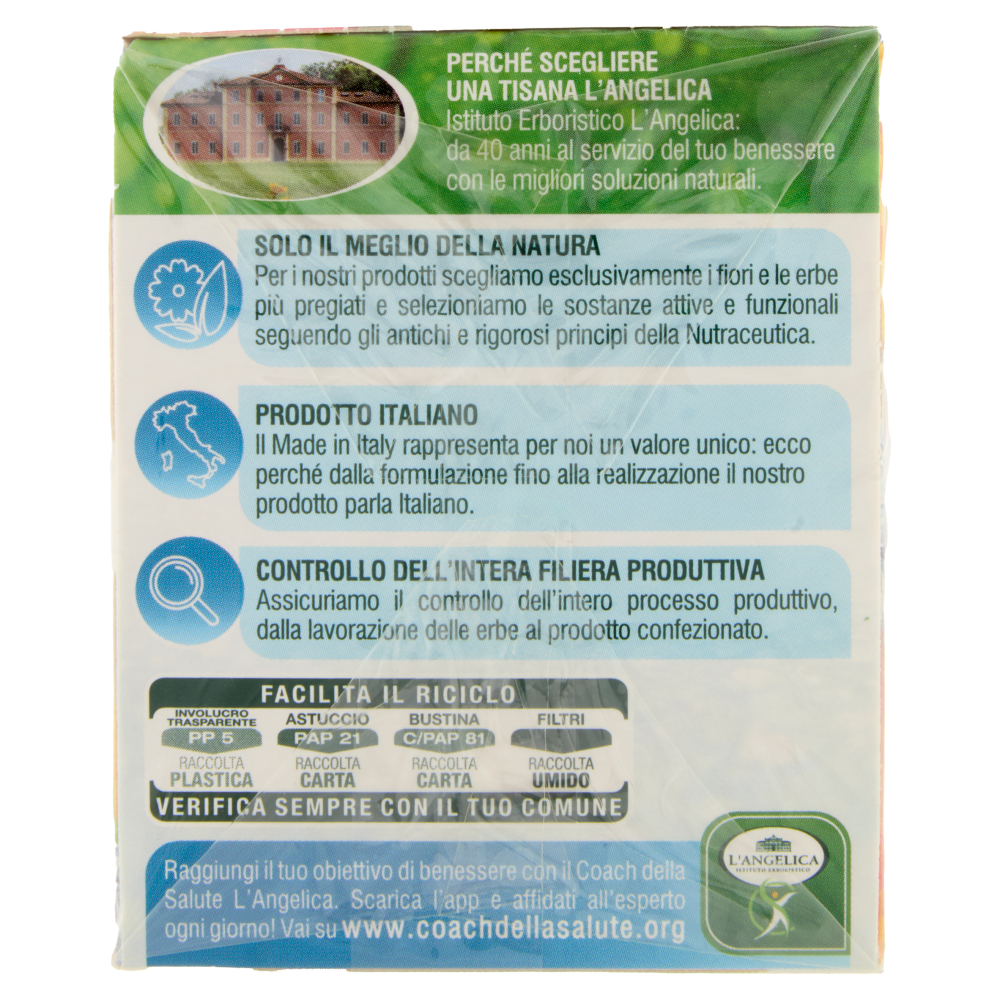 L'Angelica Tisana Fredda Brucia Grassi al Gusto di Fico d'India e Mango 18 Filtri 36 g