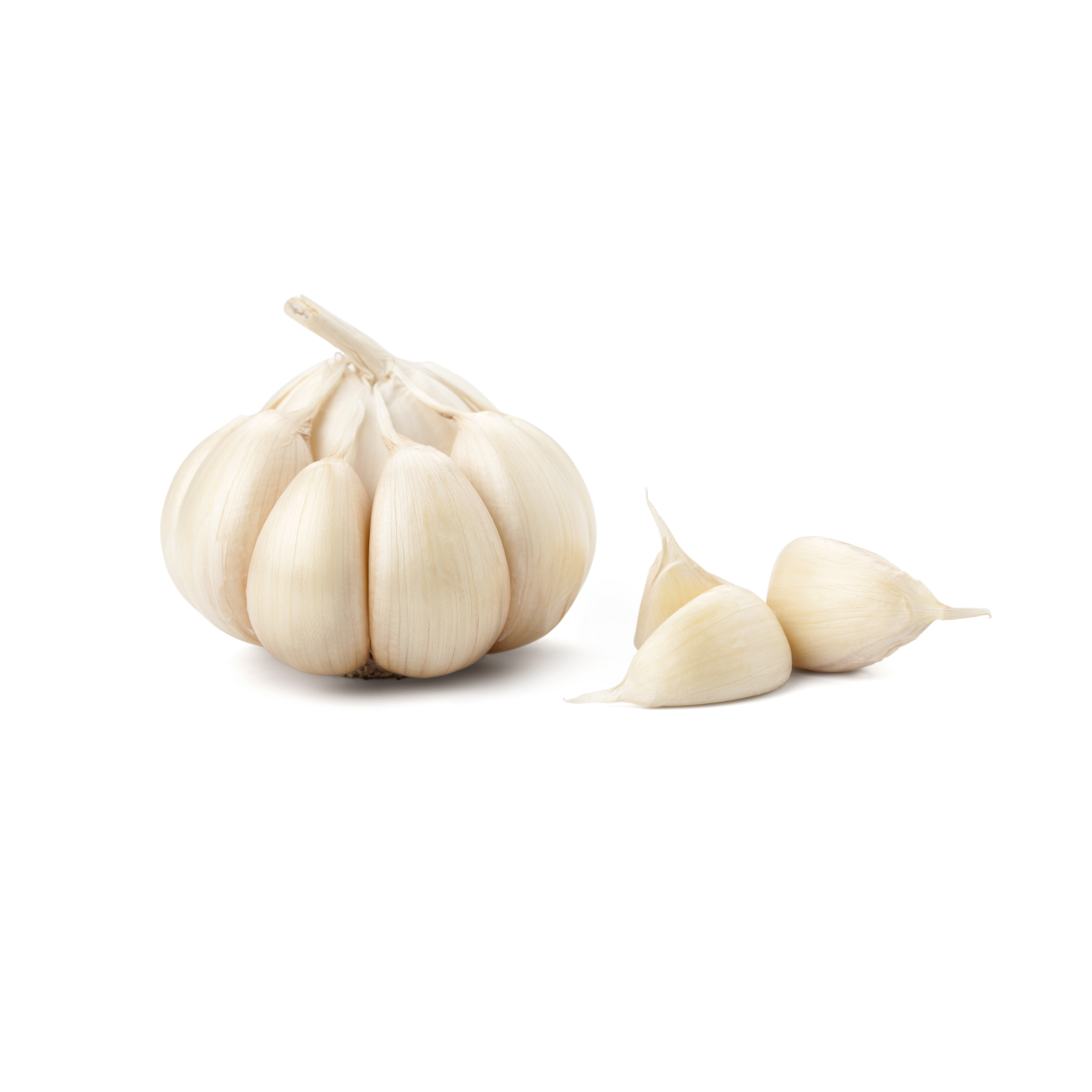 Aglio Bianco Voghiera DOP Terre d'Italia