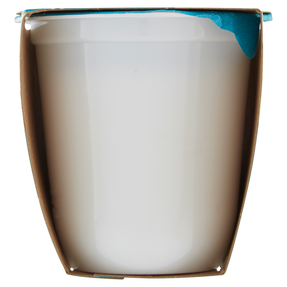 Granarolo 100% Vegetale Fatto con il Cocco Bianco Dolce 2 x 125 g