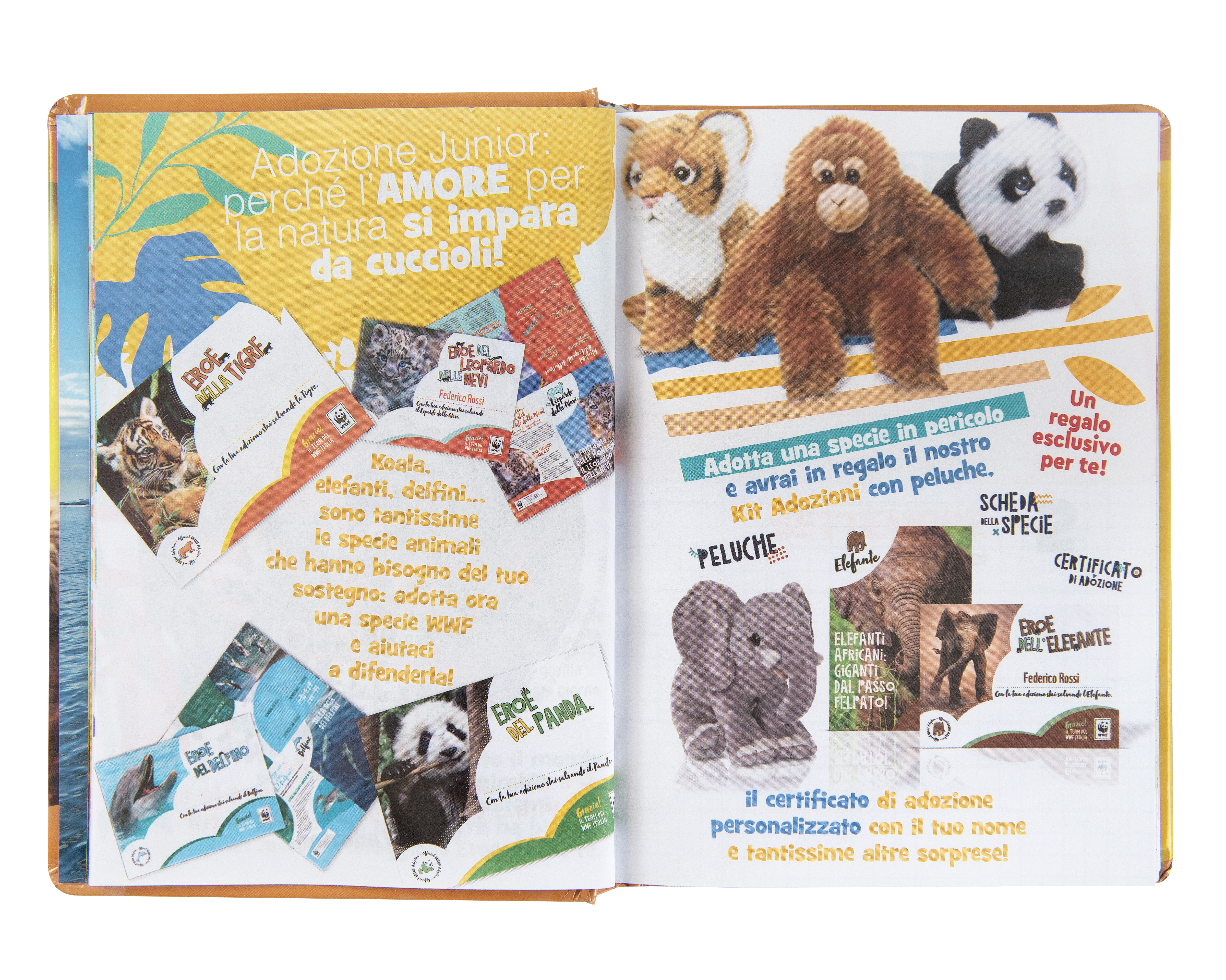 Carrefour 8058263229227 Diario Diario scolastico