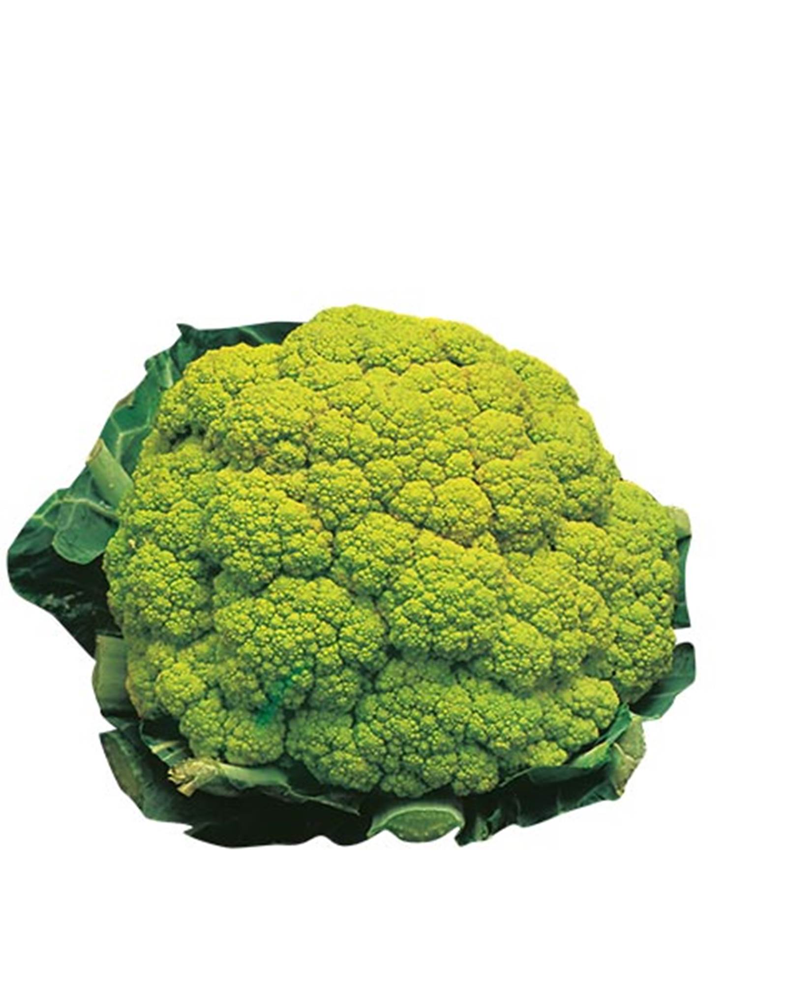 Cavolfiore verde sfuso categoria I calibro 7/8 origine Italia