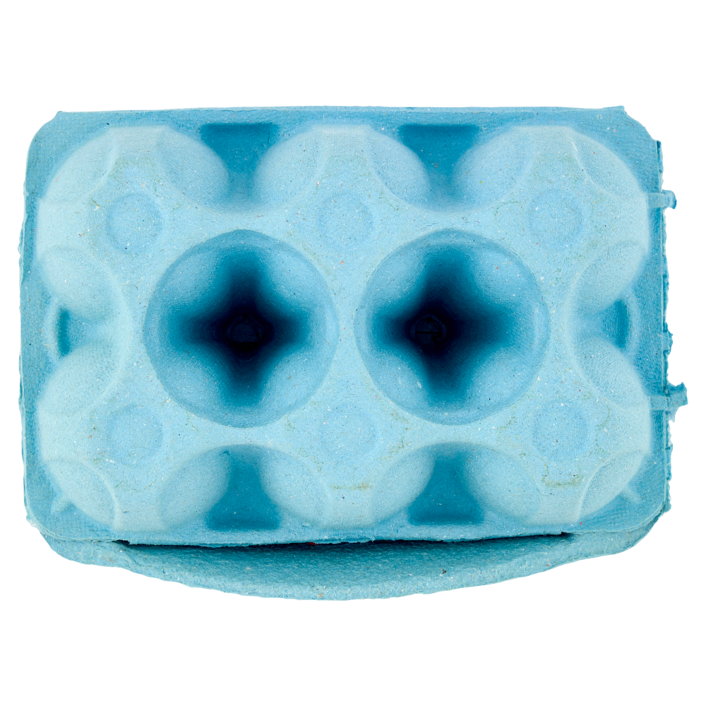 Aia Ariaperta 6 Uova Fresche da allevamento all'Aperto 330 g