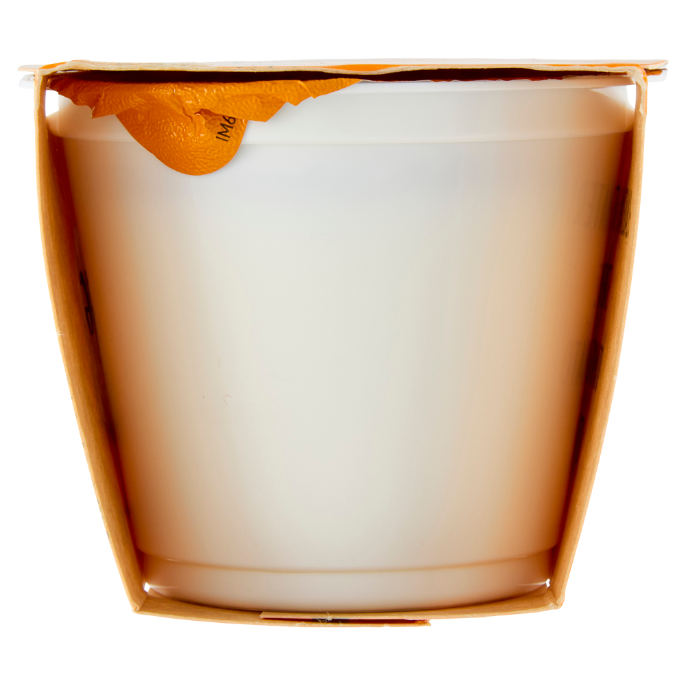 Fattoria Scaldasole Bianco Magro yogurt biologico 2 x 115 g