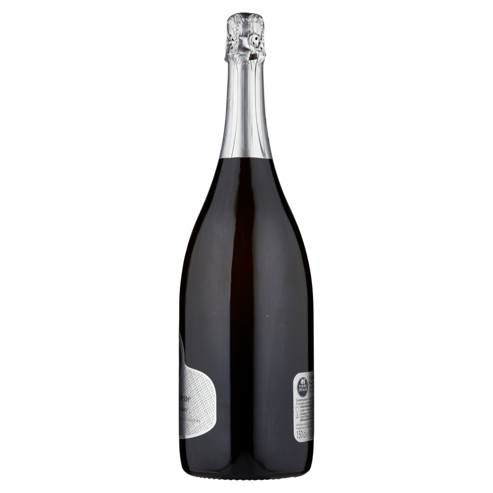 Terre d'Italia Valdobbiadene Prosecco Superiore DOCG Extra Dry 150 cl