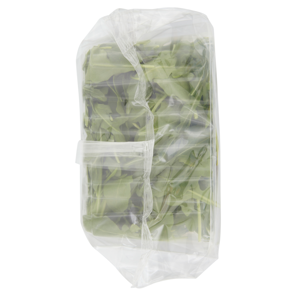 Almaverde bio Rucola Bio 100 g