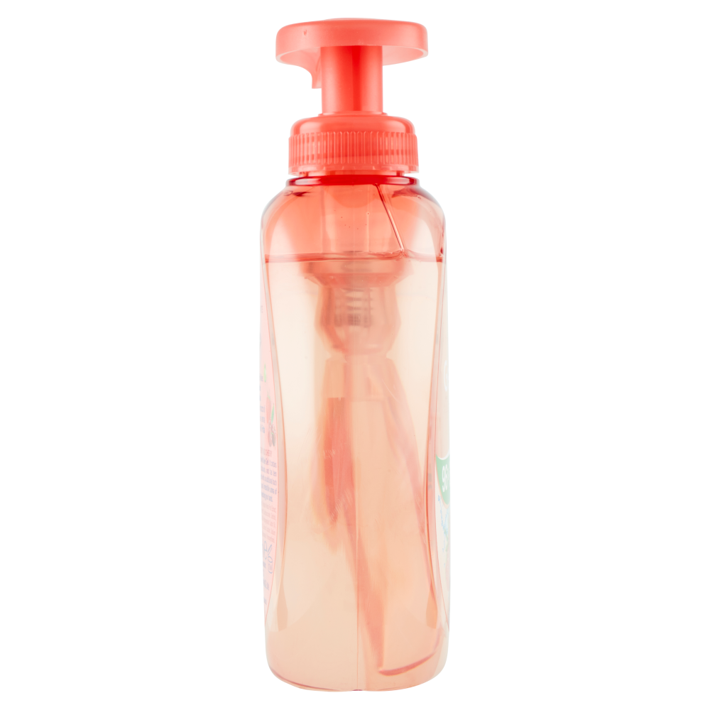 Fresh & Clean Gel di Frutta Sapone Liquido Idratante Fragola e Ciliegia 300 ml