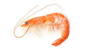 Mazzancolle tropicale cotte 80/100