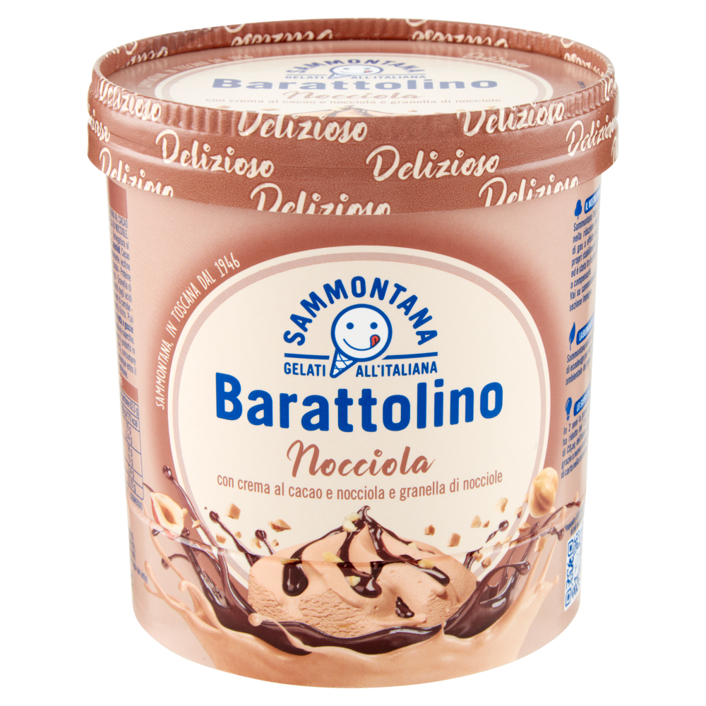 Sammontana Barattolino Delizioso Nocciola 500 g