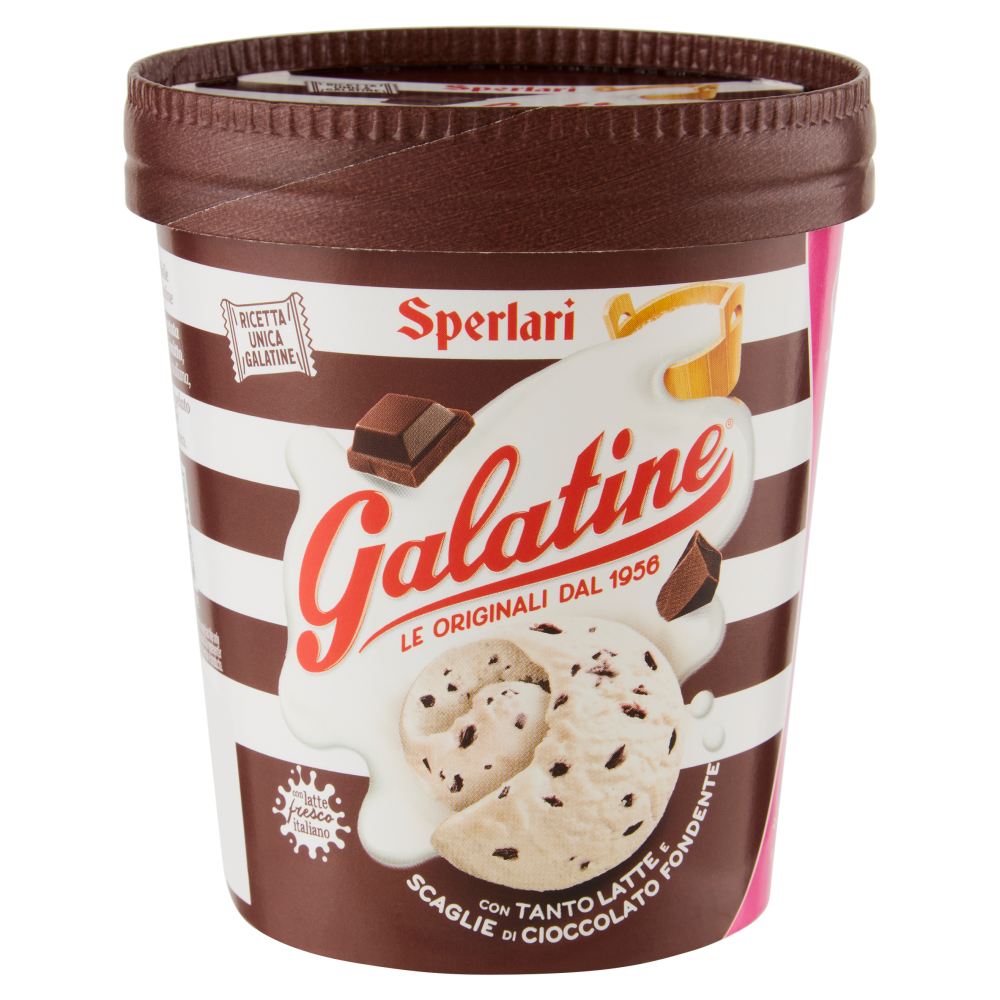 Galatine Gelato con Tanto Latte e Scaglie di Cioccolato Fondente 500 ml