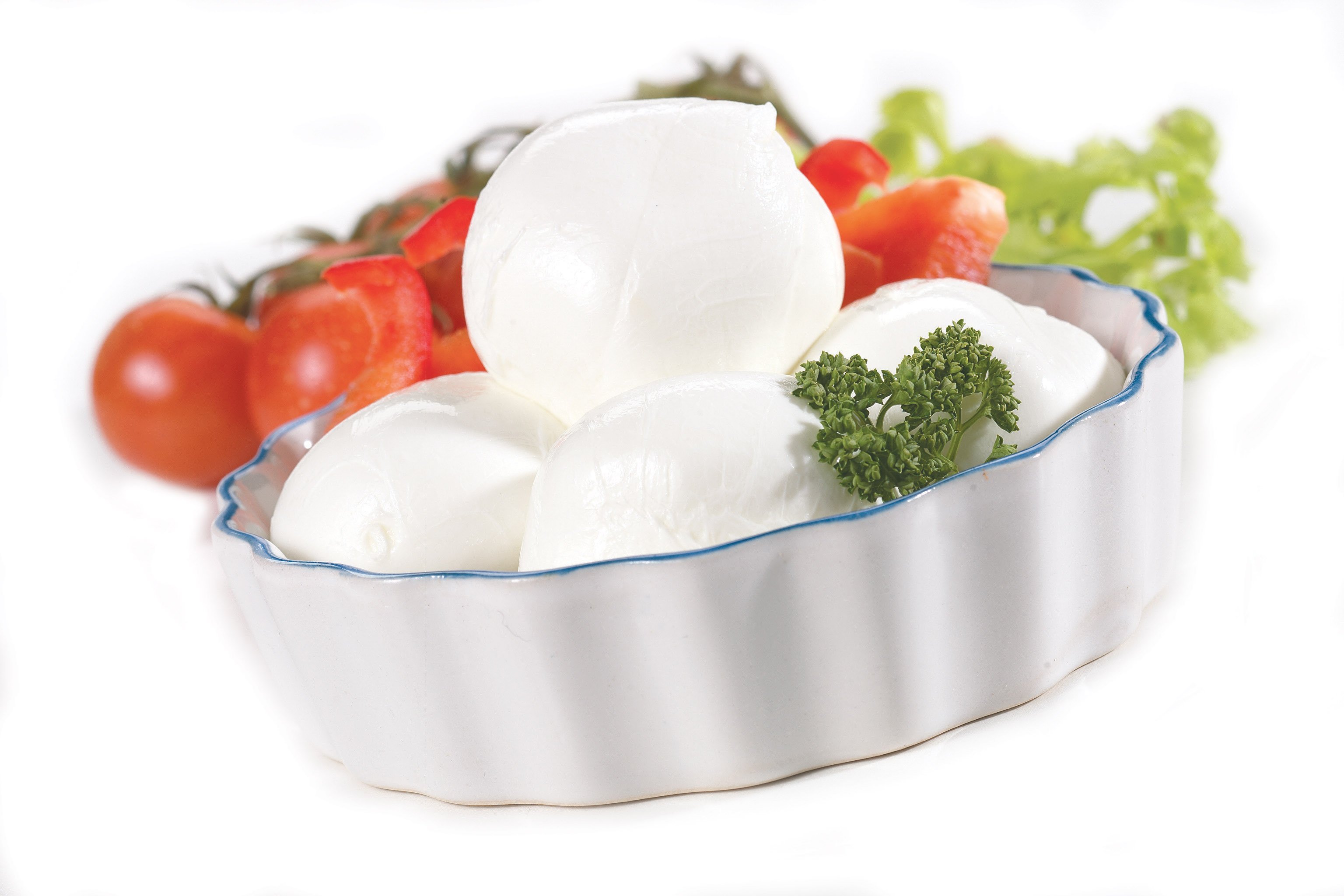 Bocconcini bufala campana DOP