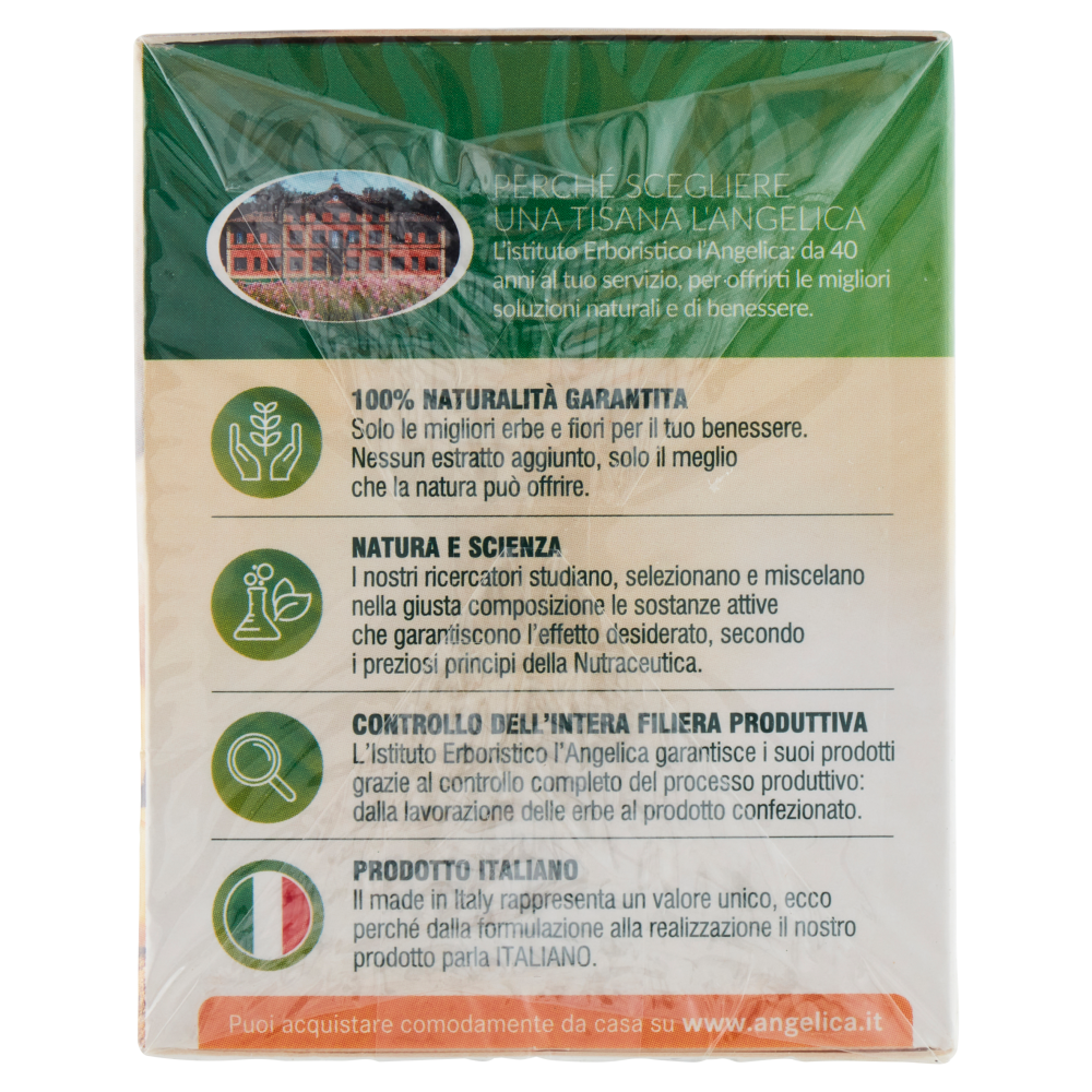 L'Angelica Le Tisane superfood Zenzero Limone 20 Filtri 34 g