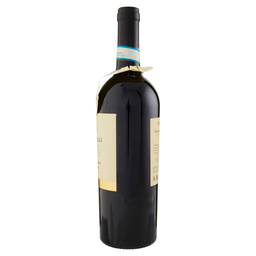 Terre d'Italia Terra d'Aligi Montepulciano d'Abruzzo DOC Riserva 750 ml
