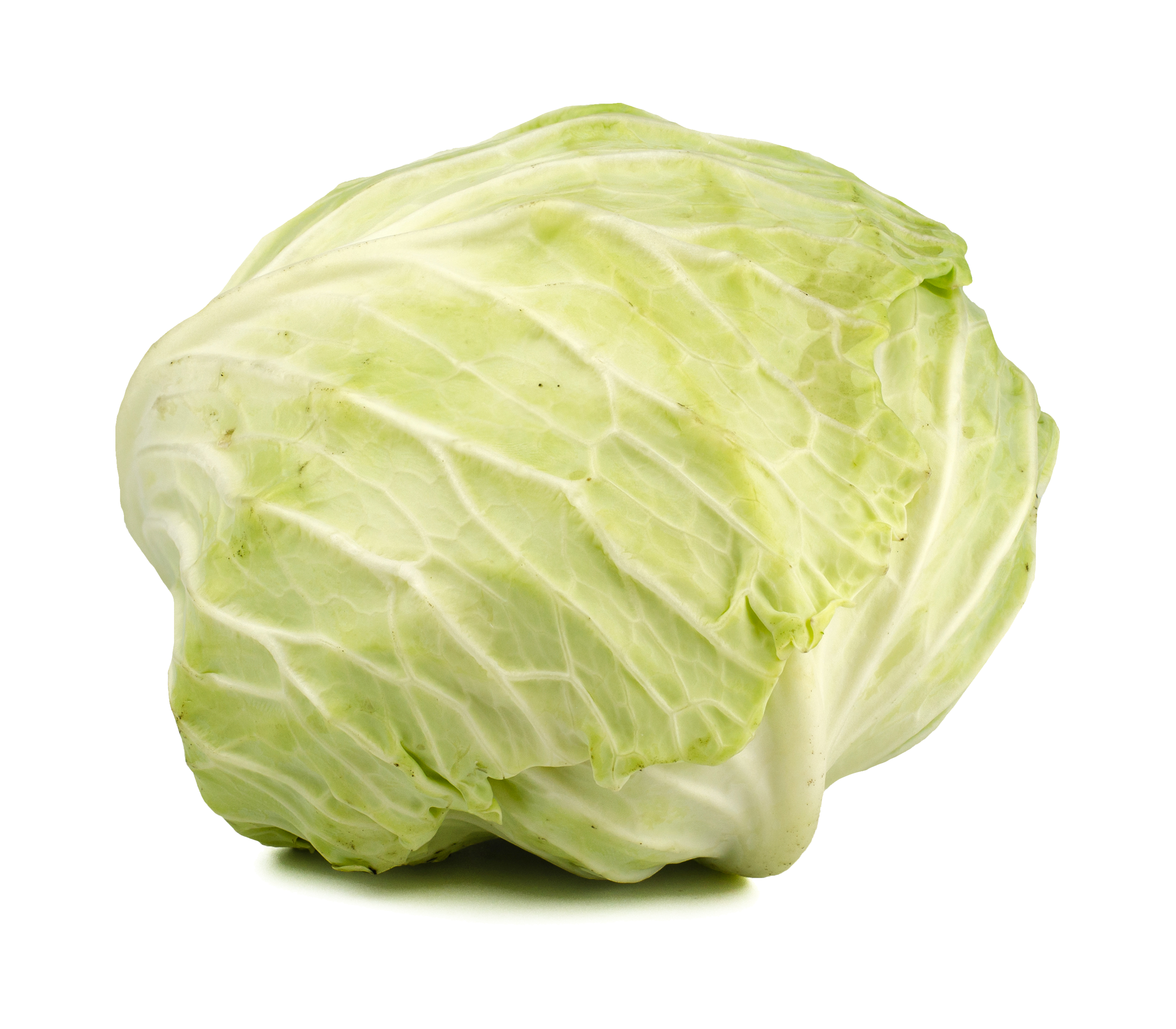 Cavolo Verza Bio sfuso