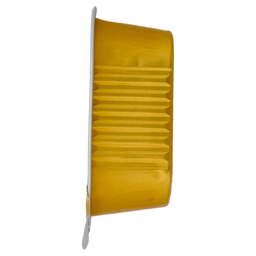 Simpl Terrina con Pollo 300 g