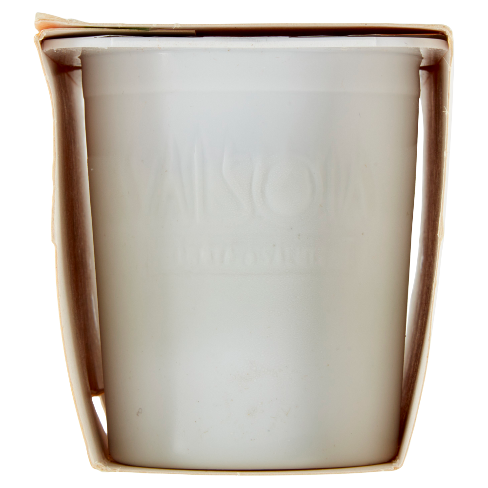 Valsoia Bontà e Salute Pistacchio Mandorla 2 x 115 g