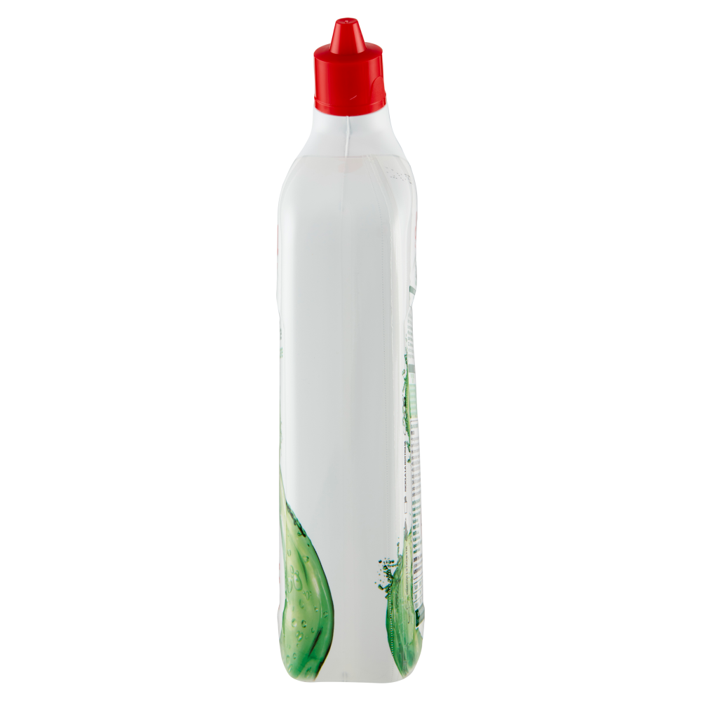 Scala WC Gel Igienizzante Disincrostante Azione anticalcare 1L