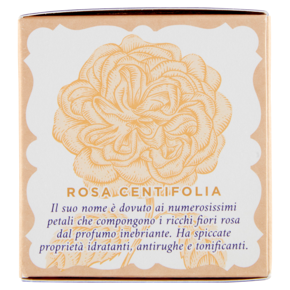 Acqua alle Rose Crema Antirughe Levigante 50 ml